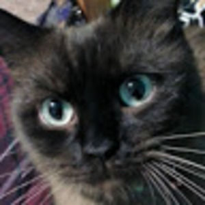 Meet your Posher, Cassie